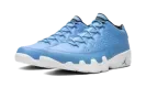 Air Jordan 9 Retro Low "Pantone" 832822 401