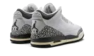 Air Jordan 3 GS "Hide N Sneak" DX6665 100