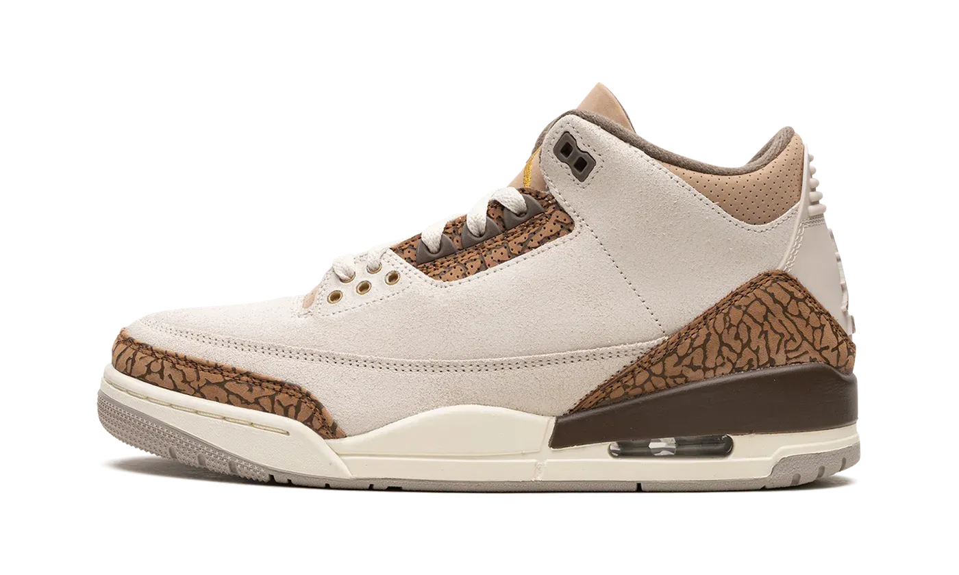 Air Jordan 3 "Palomino" CT8532 102