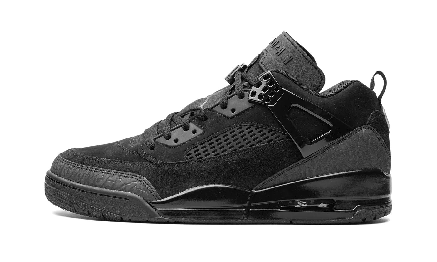 Jordan Spizike Low "Black Cat" FQ1759 001