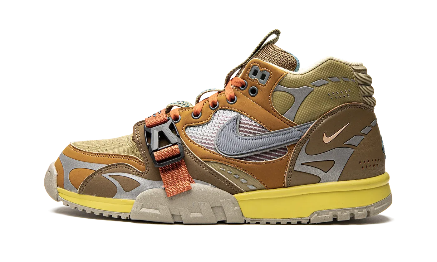 Air Trainer 1 SP "Coriander" DH7338 300