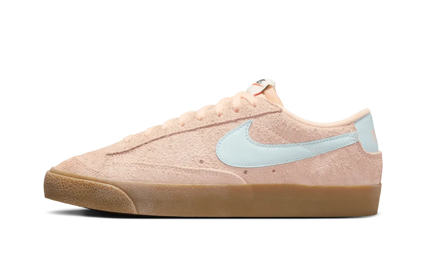 Blazer Low 77 Vintage WMNS "Crimson Tint Glacier Blue" FQ8060 800
