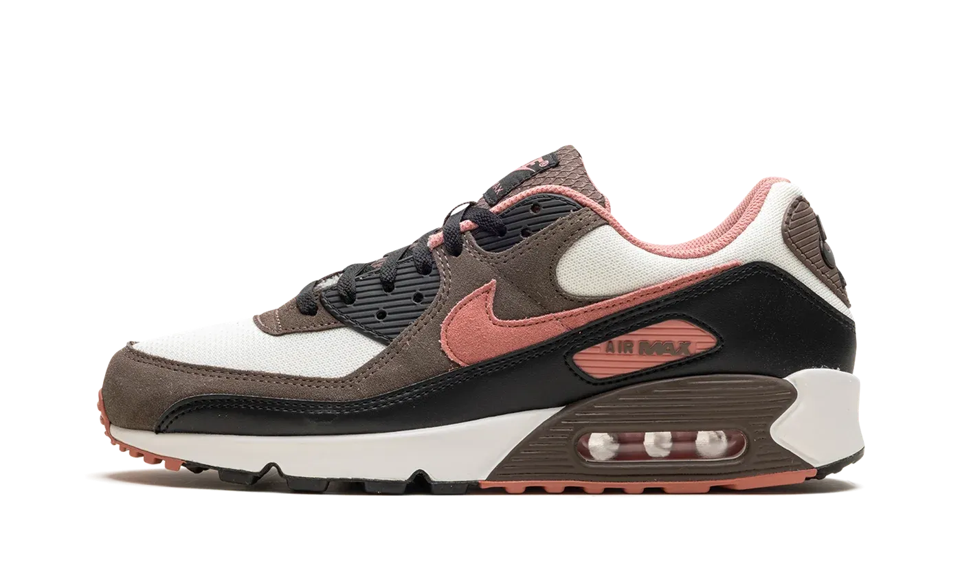 Air Max 90 "Ironstone Red Stardust" DM0029 105