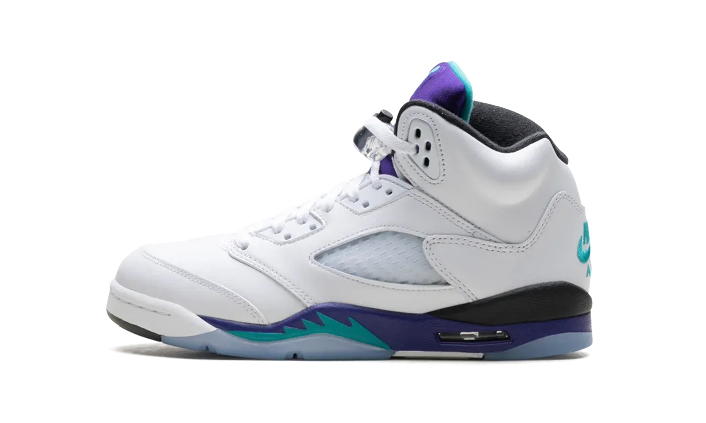 Air Jordan 5 Retro GS "Grape" HQ7980 100