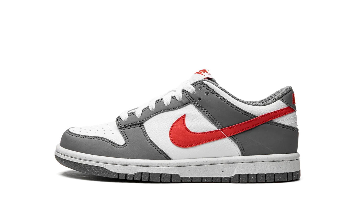 Dunk Low Next Nature GS "Smoke Grey" FB8038 001