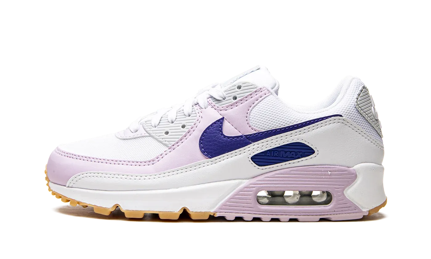 AIR MAX 90 WMNS DX3316 100