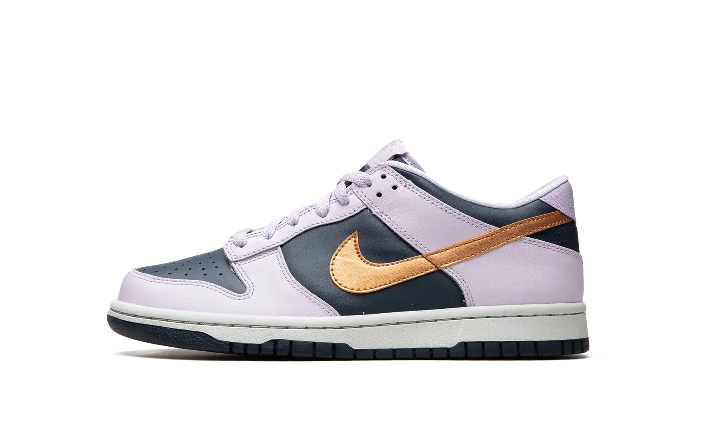 Dunk Low Se "Copper Swoosh" DX1663 400
