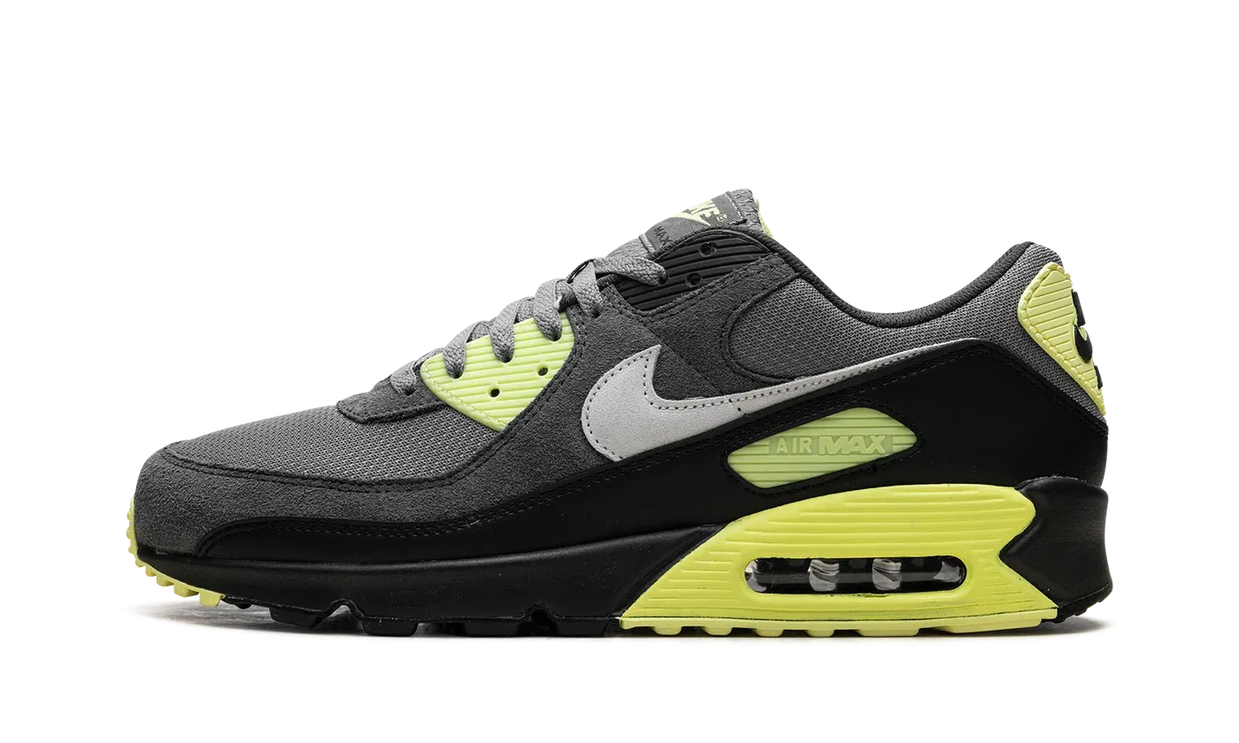Air Max 90 "Smoke Grey Light Lemon Twist" DM0029 012
