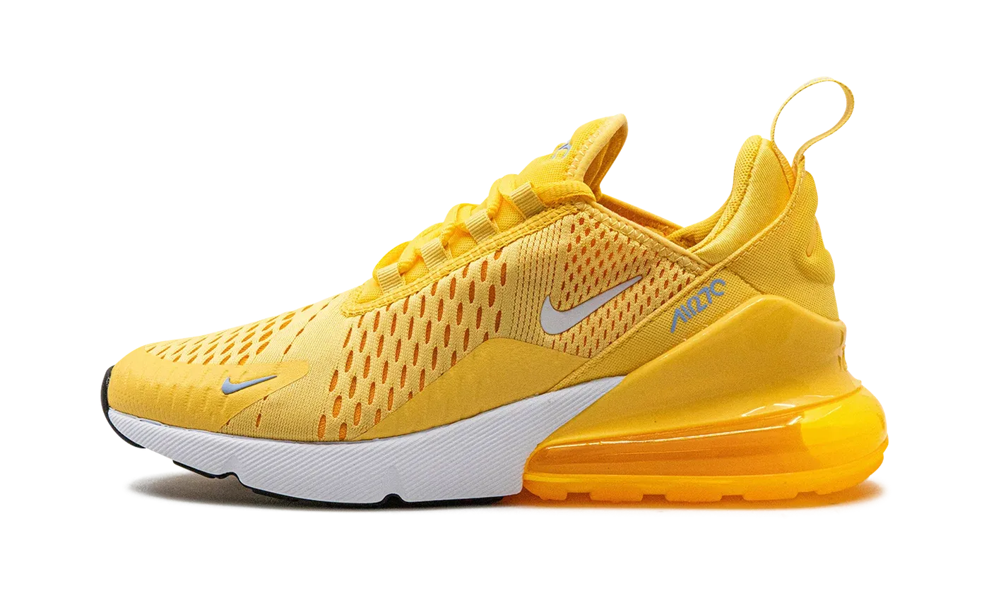 AIR MAX 270 WMNS "Topaz Gold" AH6789 701