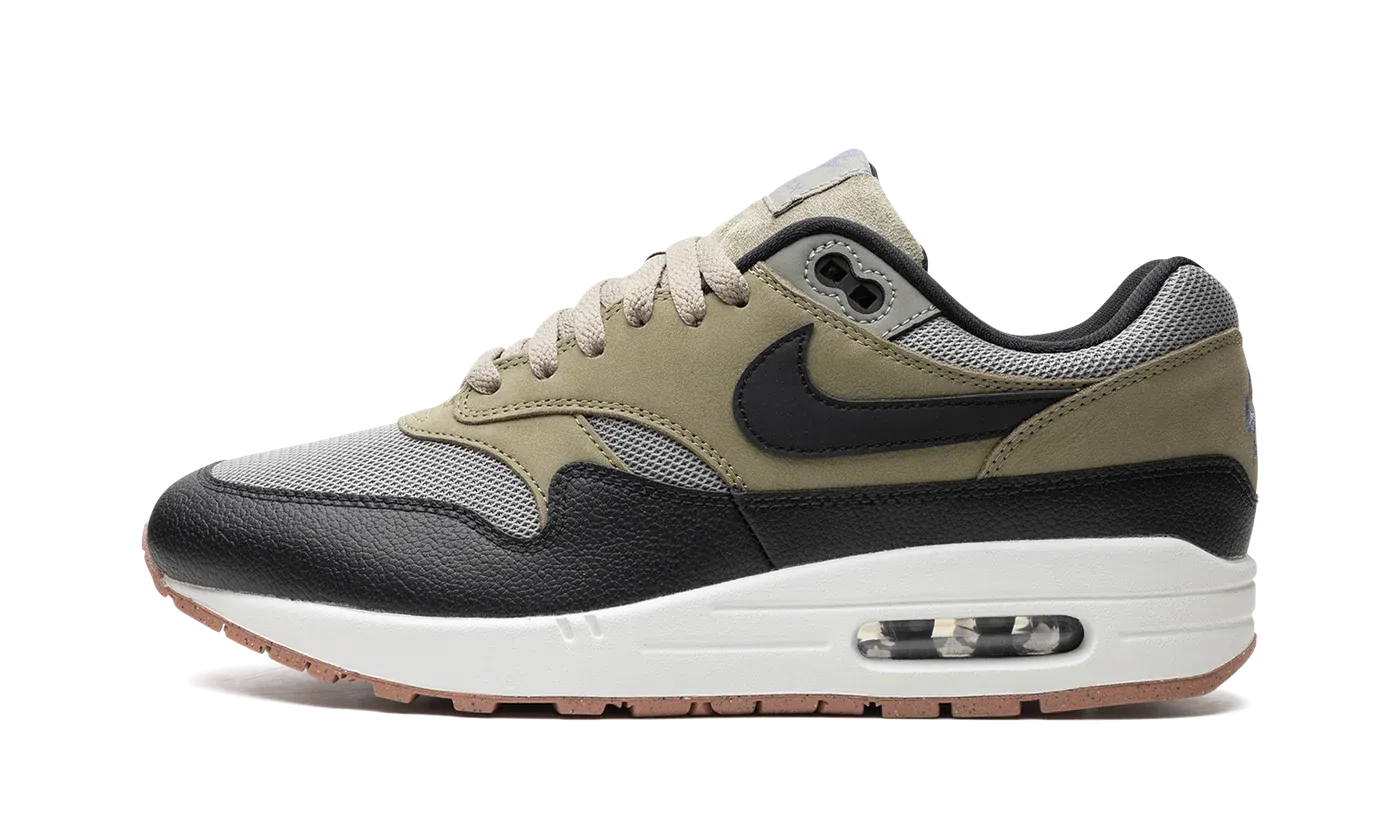 Air Max 1 "Dark Stucco" FB9660 003
