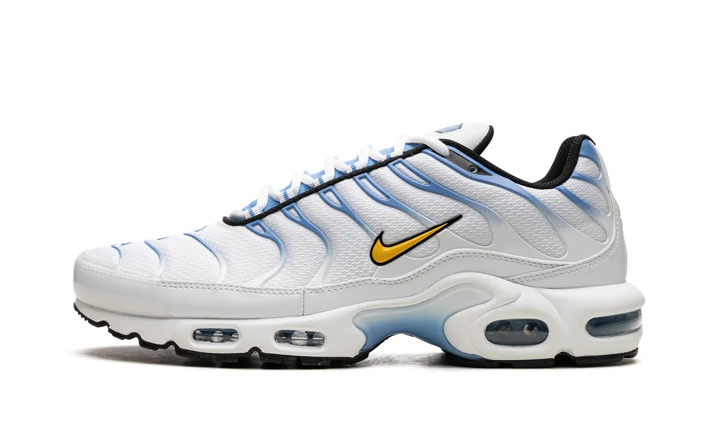 Air Max Plus "White University Blue" DM0032 101