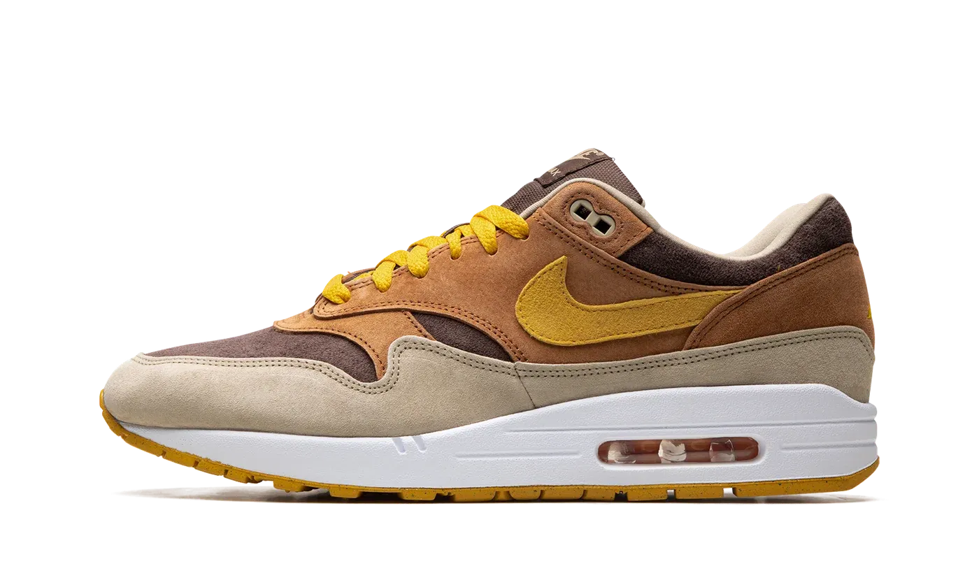 Air Max 1 "Ugly Duckling - Pecan" DZ0482 200