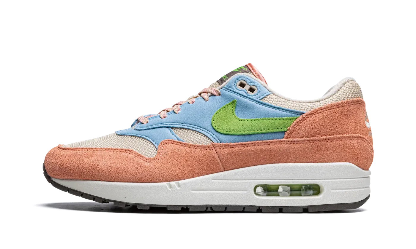 Air Max 1 "Light Madder Root" DV3196 800