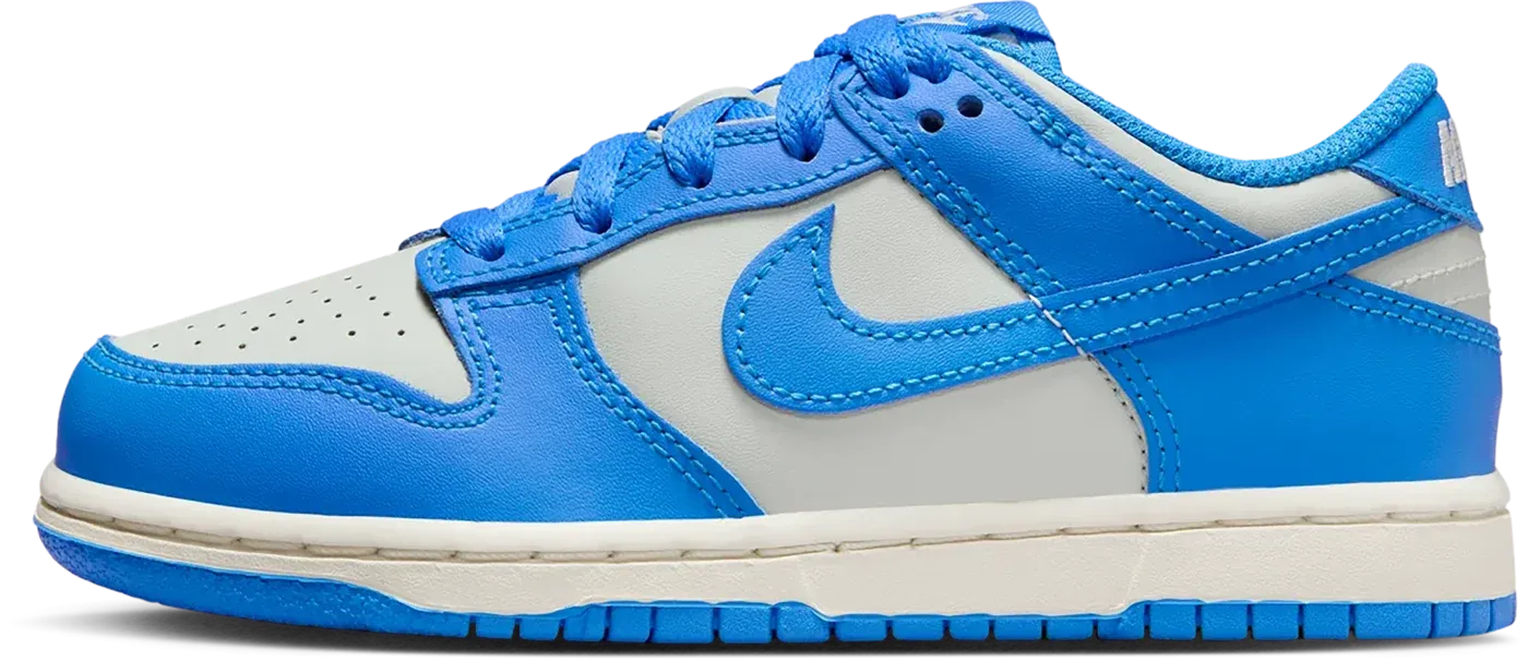 Dunk Low PS "Light Silver Photo Blue" FB9108 004