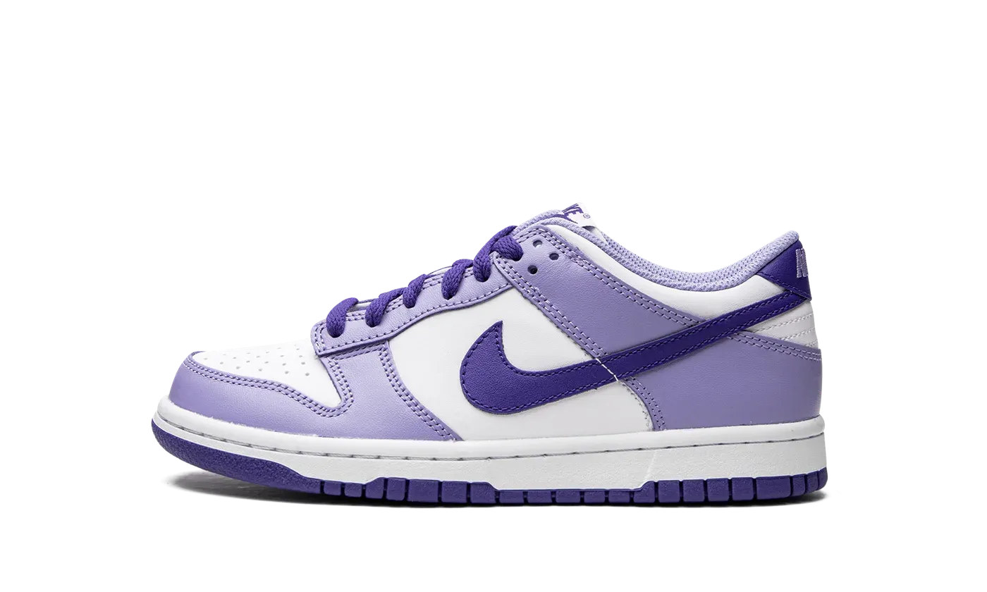 Dunk Low GS "Blueberry" DZ4456 100