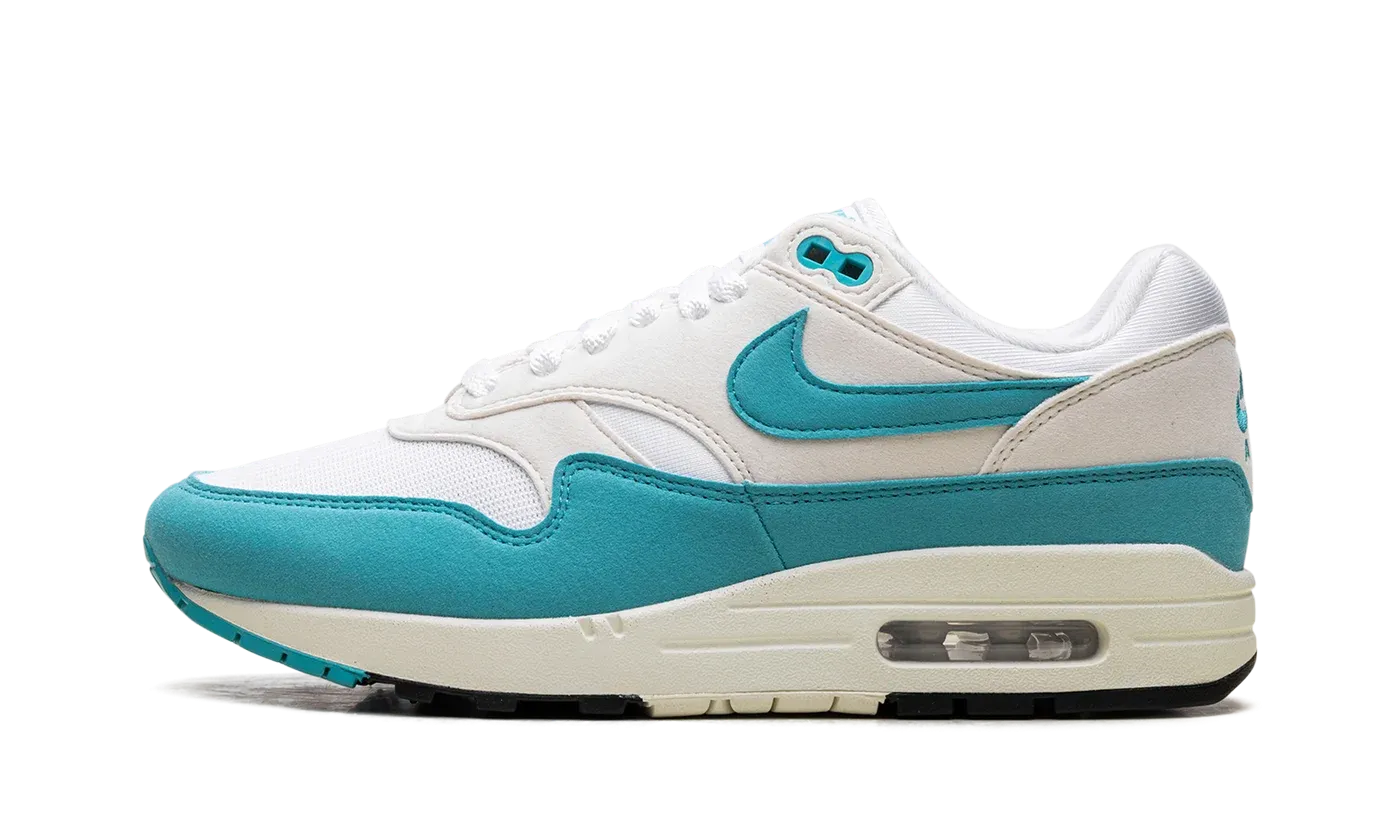 Air Max 1 WMNS "Blue" DZ2628 107
