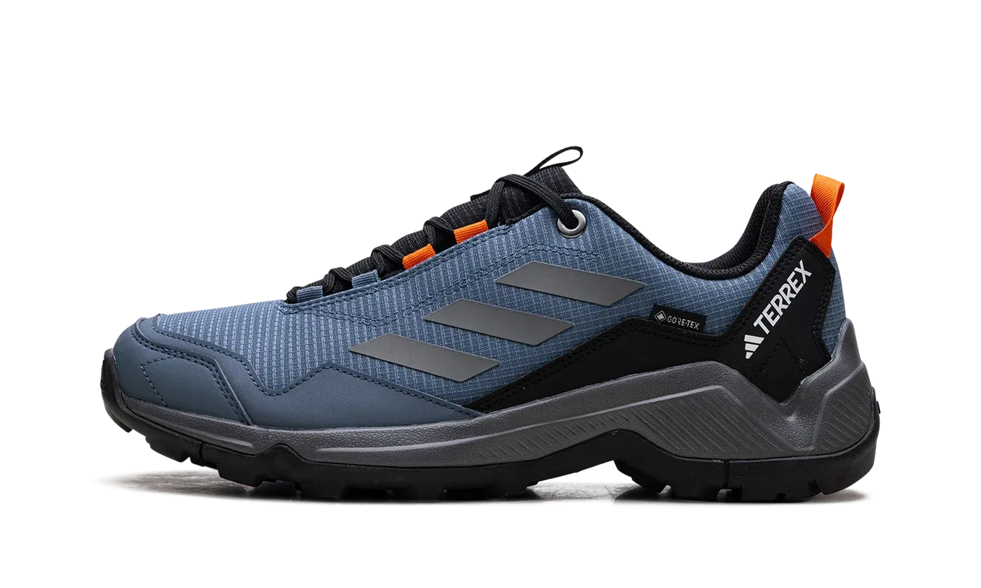 Terrex Eastrail Gore-tex "Blue"