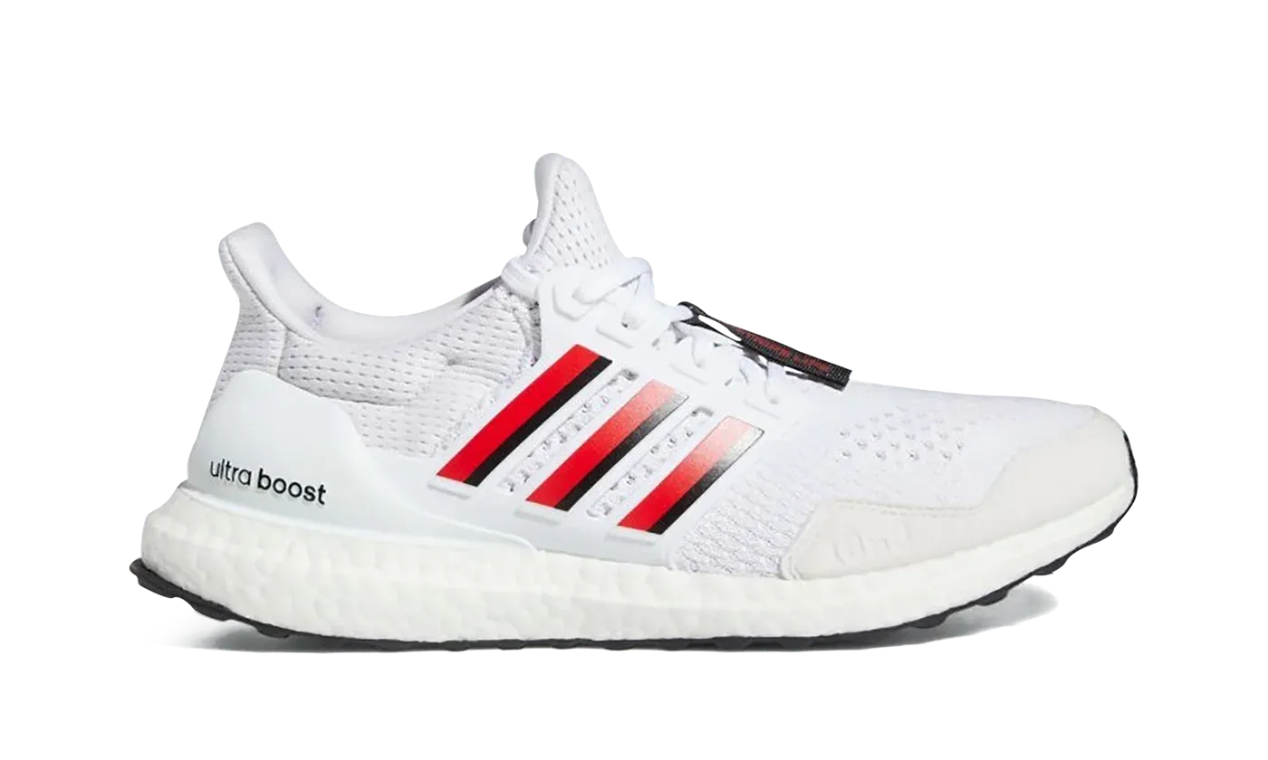 Ultraboost 1.0 "Nebraska" HQ5873